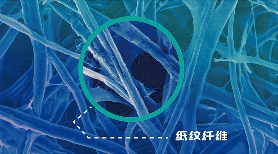 紙紋:第七代防偽技術亮相第十三屆證卡票簽安全防偽展覽會 紙紋:第七代防偽技術亮相第十三屆證卡票簽安全防偽展覽會