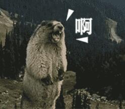這項技術2017VS2019，有點厲害！
